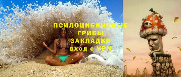 гашик Струнино