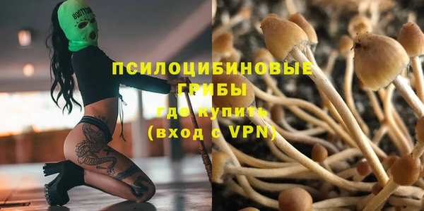 твердый Строитель